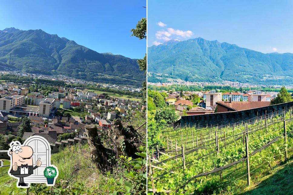 Goditi la vista dall'area esterna di Cantina Pizzorin