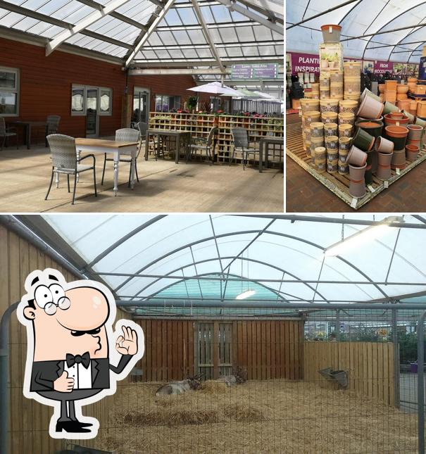 See the picture of Henry Street Garden Centre