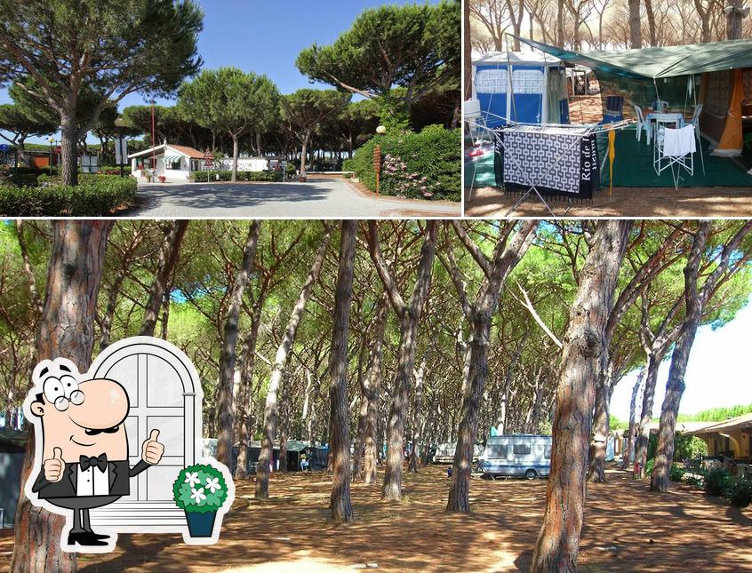 L'extérieur de Camping Village Marina Chiara