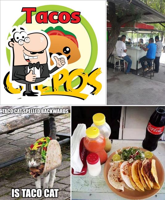 See the pic of TACOS Chepos