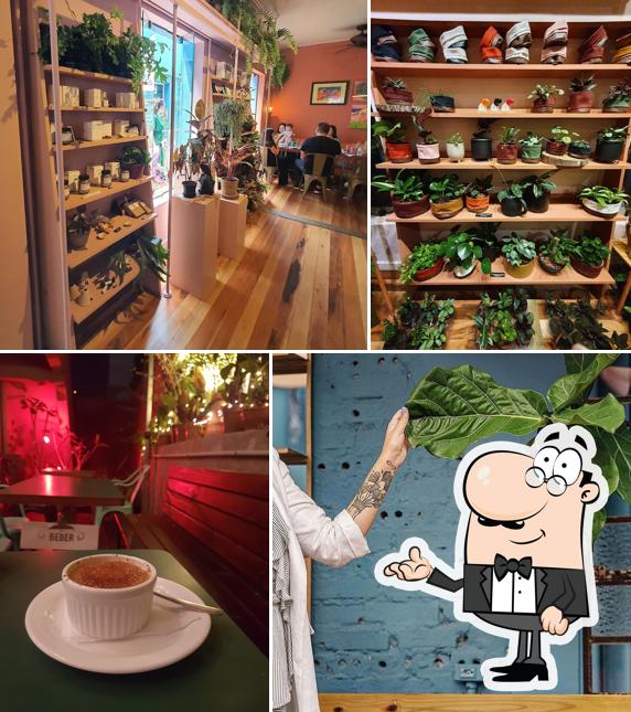 Veja imagens do interior do Negrita Café Bar - Botanique Oásis