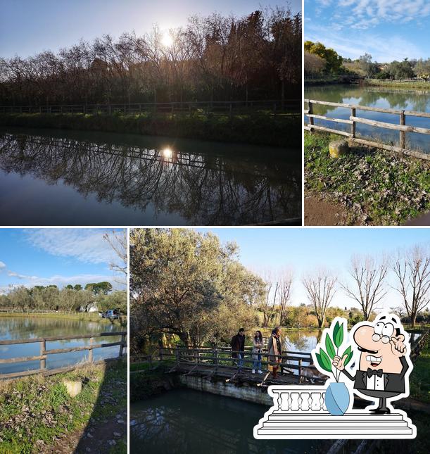 Gli esterni di Azienda Agrituristica Aquarium