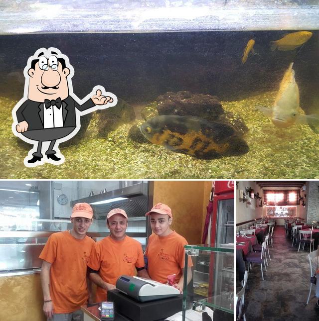 Questa è la foto che presenta la interni e pesce di Gli Antichi Sapori di Don Ciccio