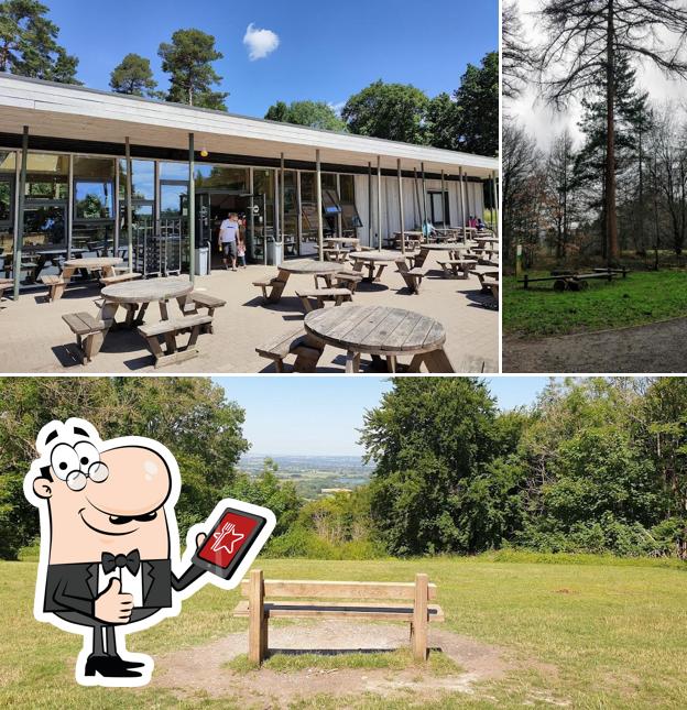 Wendover Woods Cafe in Weston Turville - Restaurant menu and reviews