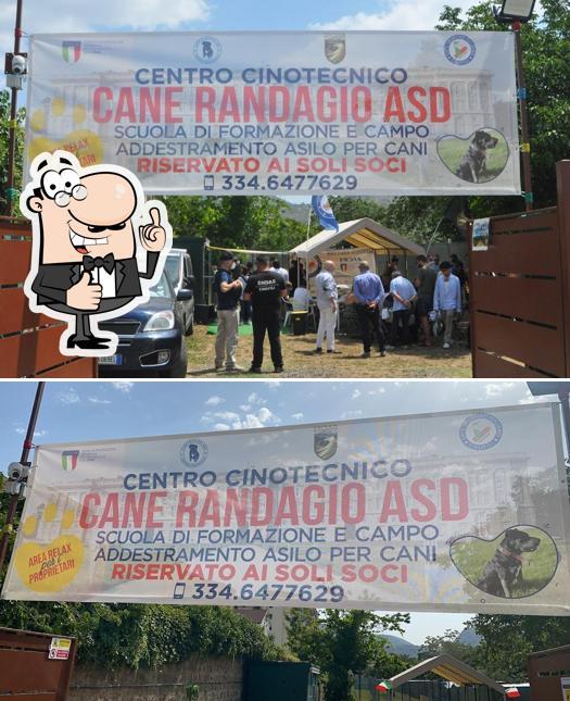 Ecco una foto di CENTRO CINOTECNICO CANE RANDAGIO ASD