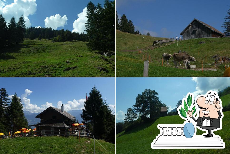 Guarda gli esterni di Skihaus Sevelen