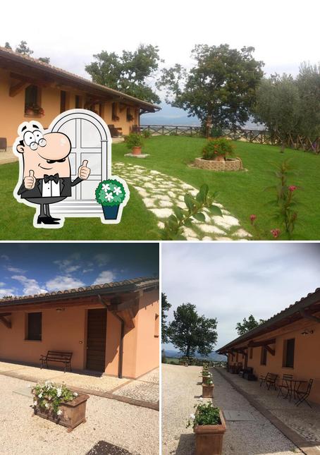 Guarda gli esterni di Agriturismo I Mille Ulivi Montefalco