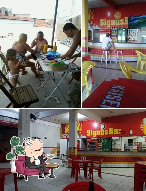 Veja imagens do interior do SignusBar