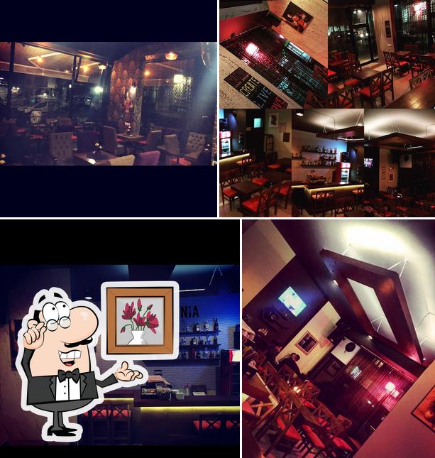 Estas son las imágenes donde puedes ver interior y barra de bar en Liburnia Coffe House