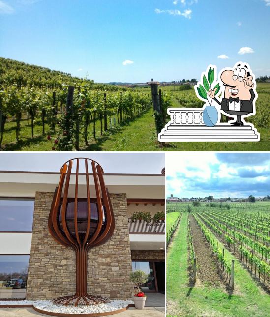 Guarda la parte esterna di Agriturismo Wine&Beer Alturis