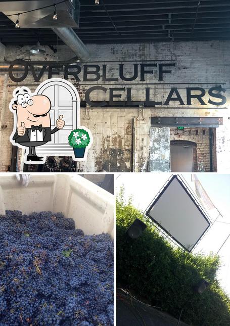 Among different things one can find exterior and food at Overbluff Cellars