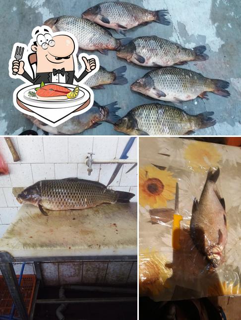 ŽELJKO KATIĆ PR, RIBARNICA, ŠABAC, HAJDUK STANKA 2 tiene un menú para los amantes del pescado