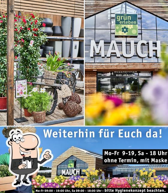 Das Äußere von Mauch GmbH, grün erleben
