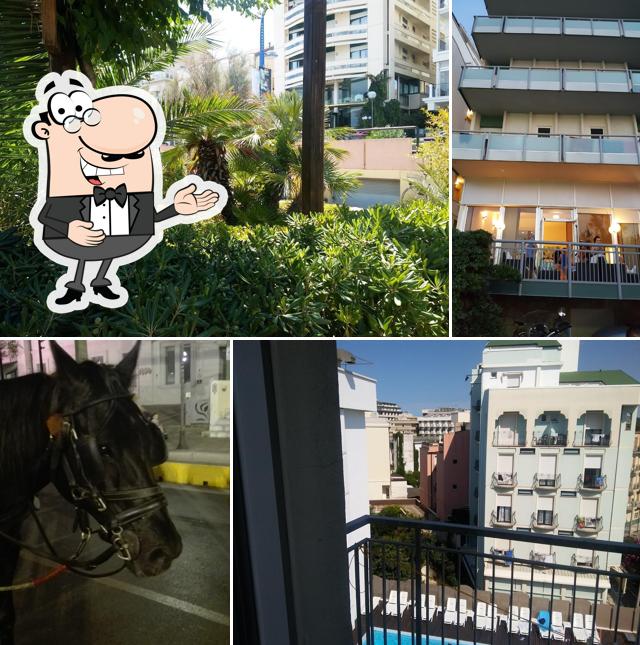 Vedi la immagine di Hotel Flaminio