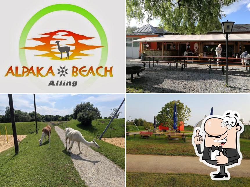 Alpaka Beach pub et bar Alling Critiques de restaurant