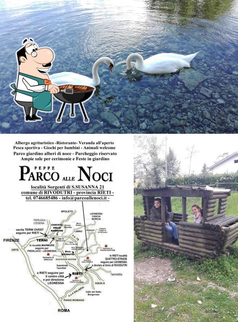 Mire esta imagen de Albergo,Ristorante,Pesca sportiva,Parco alle Noci,vicino S.Francesco