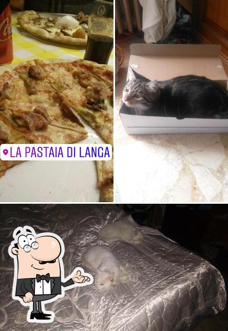 Questa è la immagine che mostra la interni e pizza di La pastaia di Langa