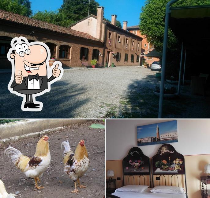 Immagine di Agriturismo Villa Mocenigo