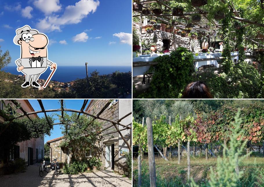 Goditi la vista dall'area esterna di Agriturismo e Azienda Agricola Le Tore