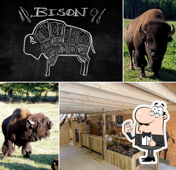 Voir cette image de LES BISONS DU SACHURON