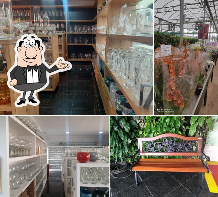 Veja imagens do interior do Matsuflora Garden Center Goiânia