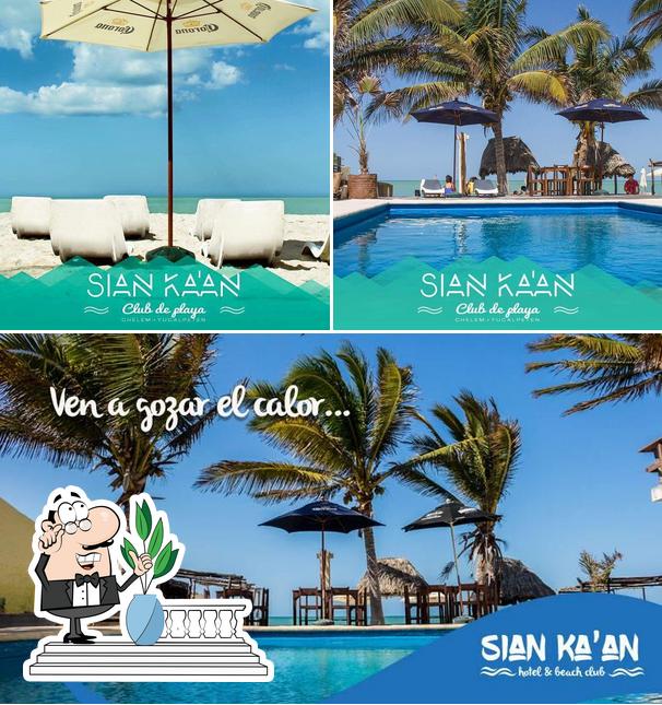 Sian Ka'an Club de Playa, Progreso - Opiniones del restaurante