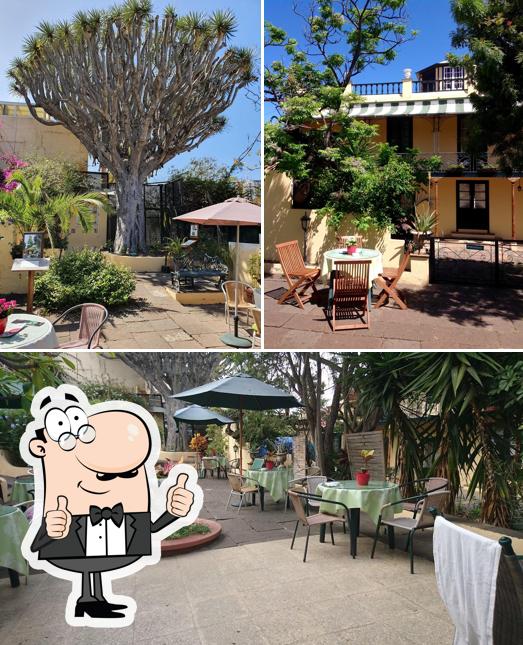 Cafe Orquidea in Puerto de la Cruz - Restaurant reviews