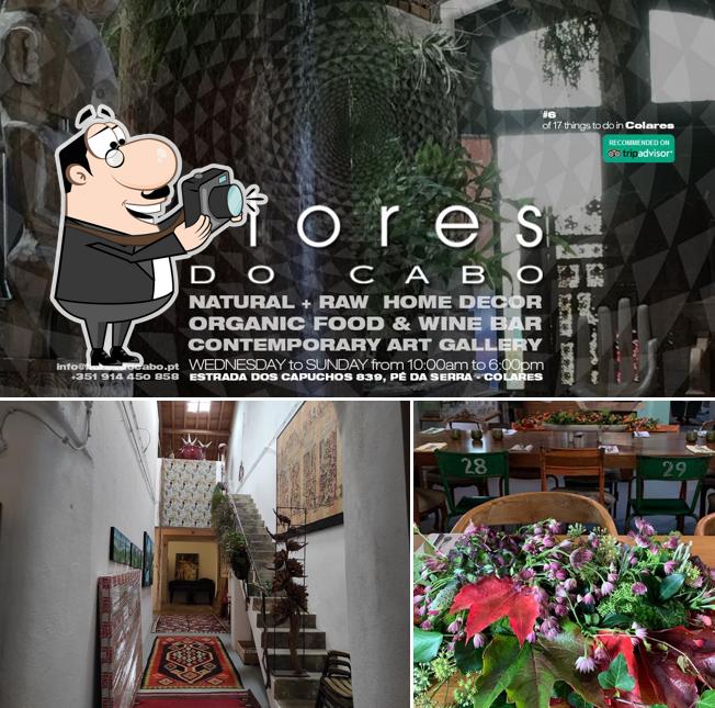 Взгляните на фото паба и бара "Flores do Cabo"