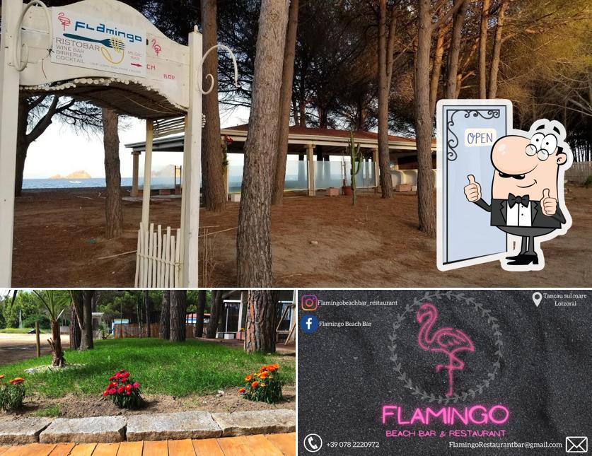 Ecco una foto di Flamingo Beach Bar