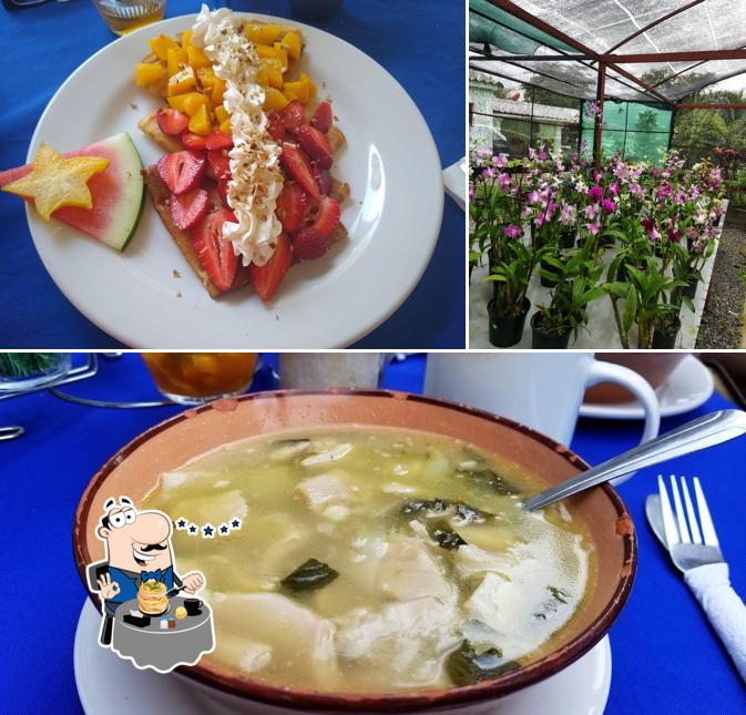 Food at La casa de las orquideas