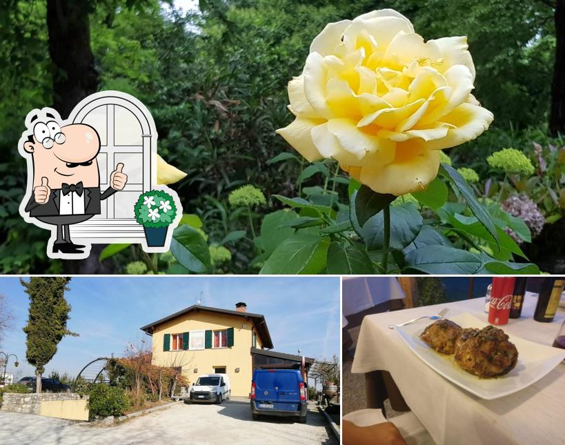 Tra le varie cose da Osteria Montecanale si possono trovare la esterno e tavolo da pranzo