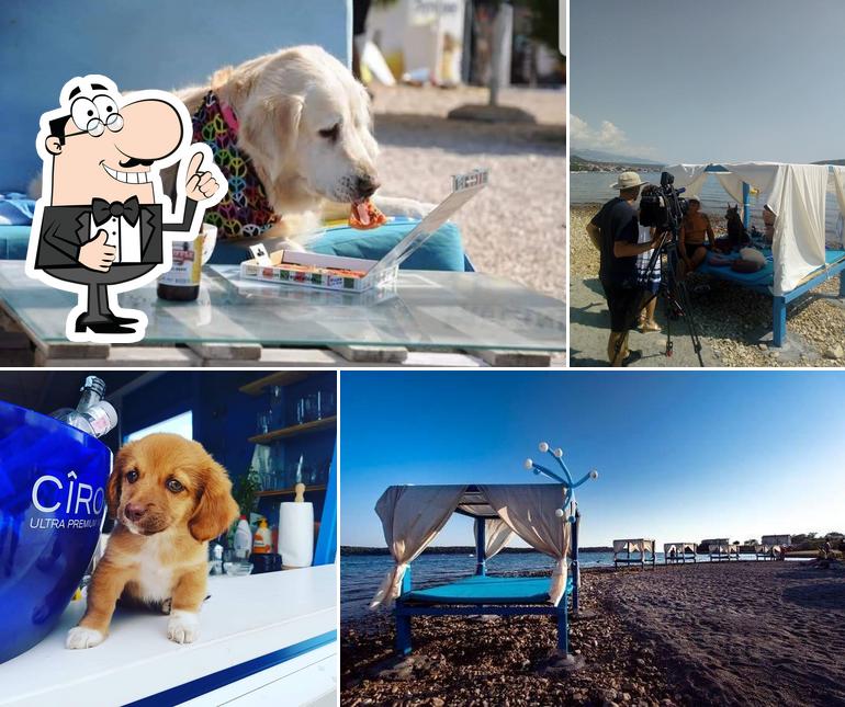 Vedi la immagine di Monty's Dog Beach & Bar Rab