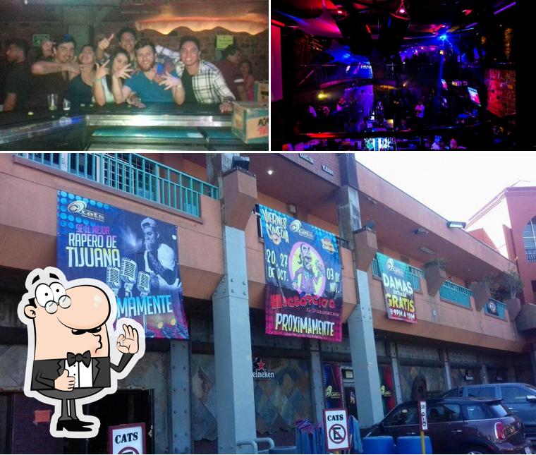 Cats club, Tijuana - Restaurant reviews