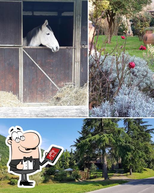 Gli esterni di Agriturismo La Ca' Nova