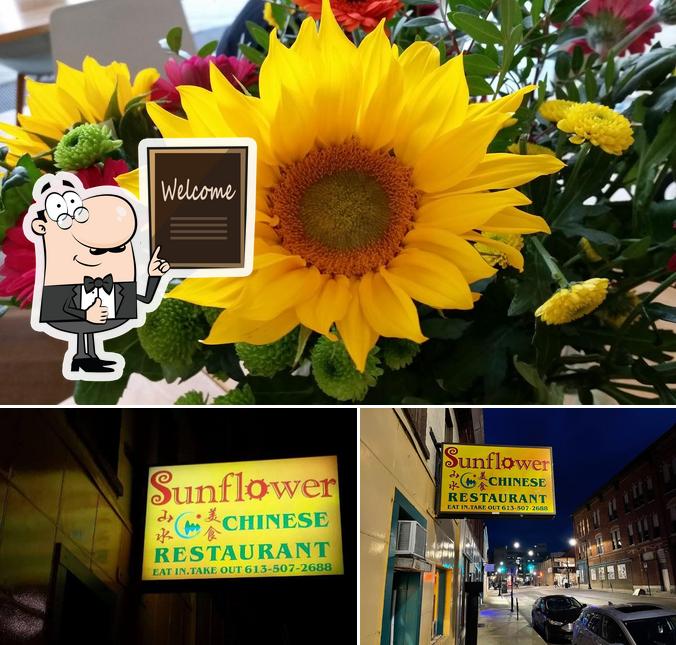 Voir la photo de Sunflower Chinese Restaurant