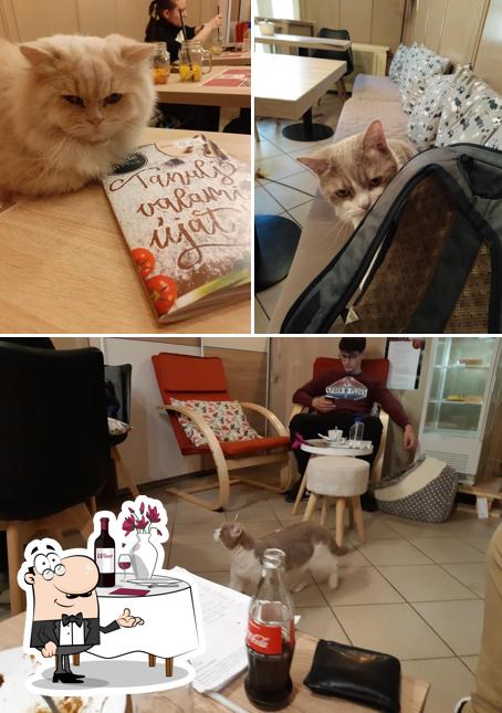 Взгляните на изображение кафе "Purrfect Cat Cafe"