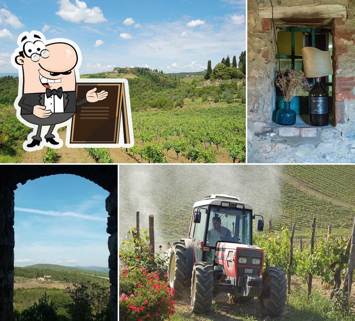 Gli esterni di Cantinetta del Belvedere di San Leonino