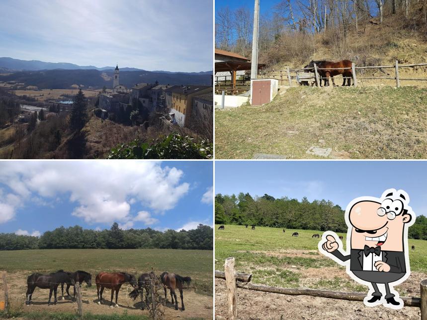 Guarda gli esterni di Agriturismo Le Carovane