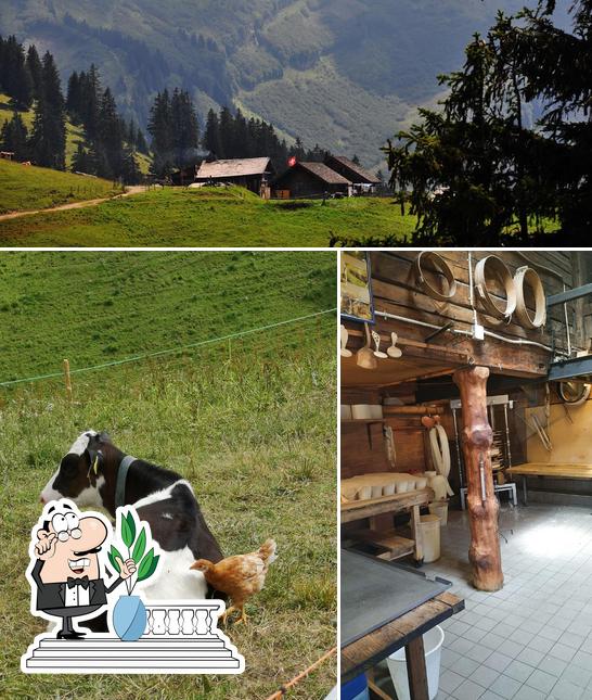 Gli esterni di Chalets Alpage du Col de la Croix