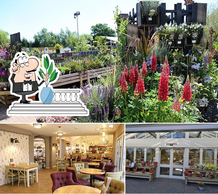 Among different things one can find exterior and interior at Squires Garden Centre