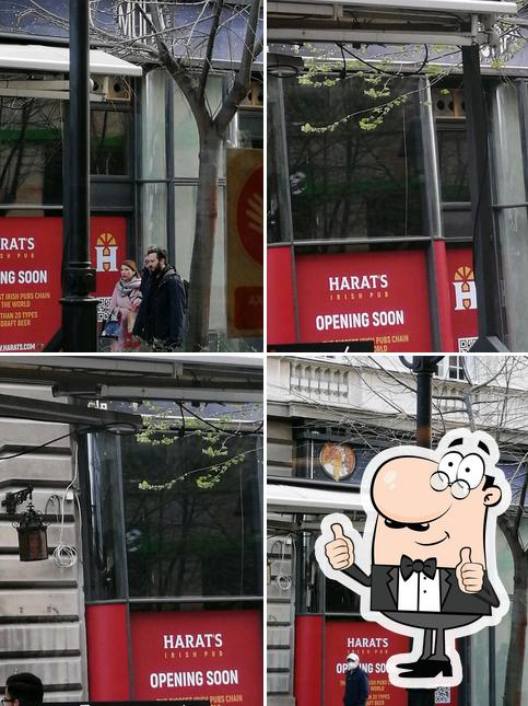 Здесь можно посмотреть фото паба и бара "Harats Pub Belgrade"