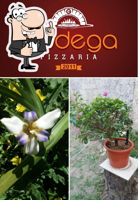 See the picture of Pizzaria Godega Itaguaí