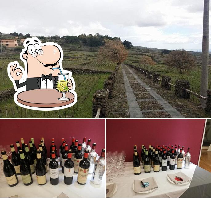 La foto di bevanda e esterno da Enoteca Distribuzione La cantina del Sommelier