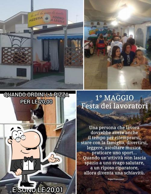 Pizzeria Lu Sule Lu Mare Lu Ientu se distingue par sa intérieur et extérieur