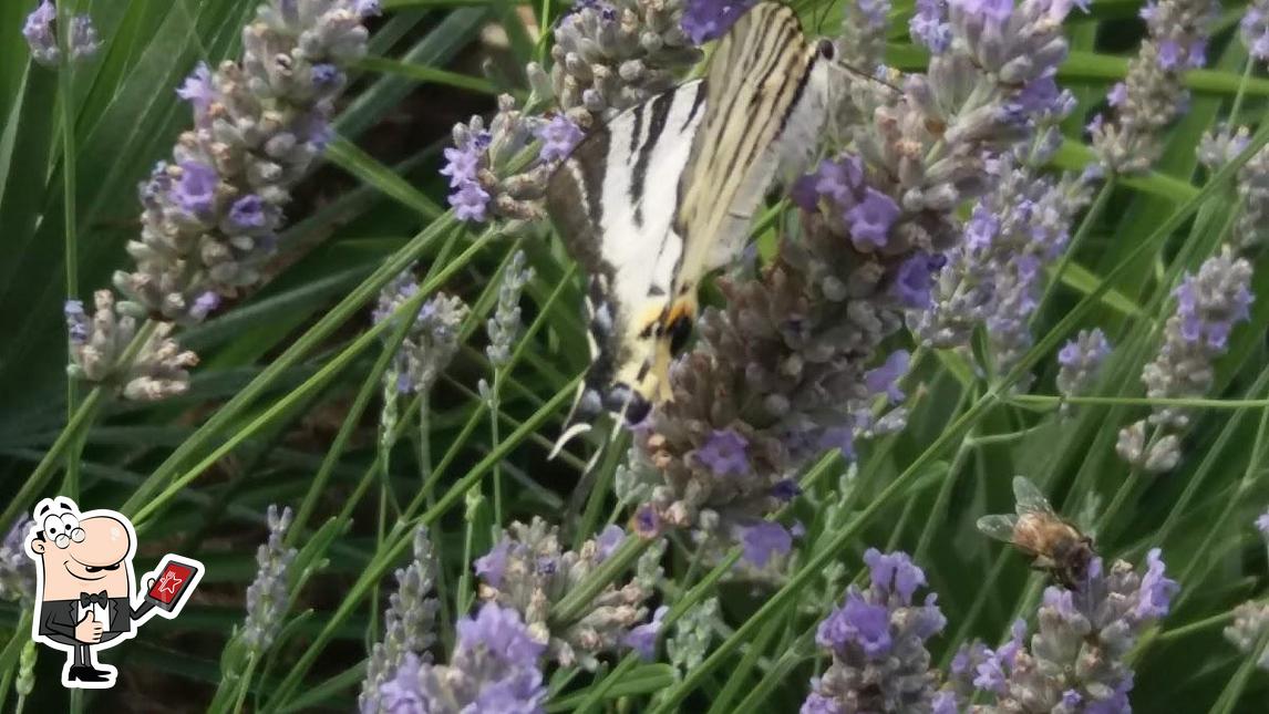 Guarda la foto di Panificio Cacciò