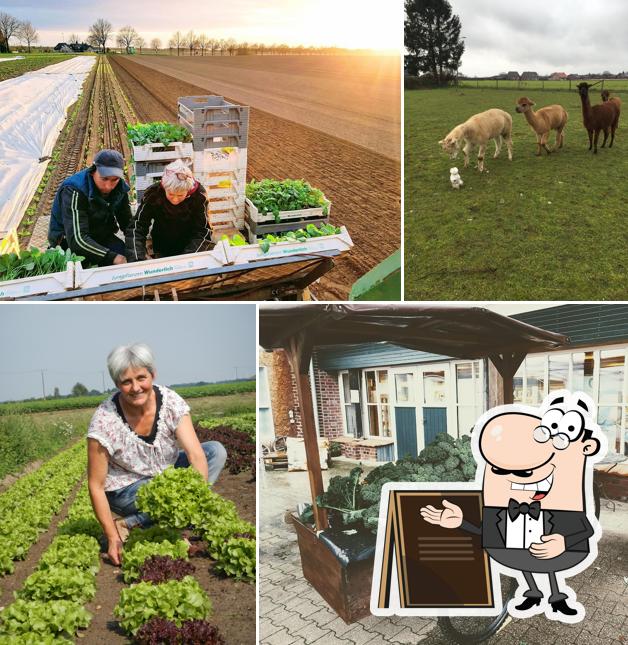 Jetez un coup d’œil à quoi ressemble Bioland Hof Bolten farm shop à l'extérieur