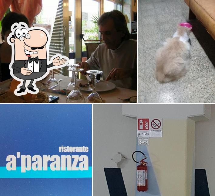 Ecco una foto di A'paranza