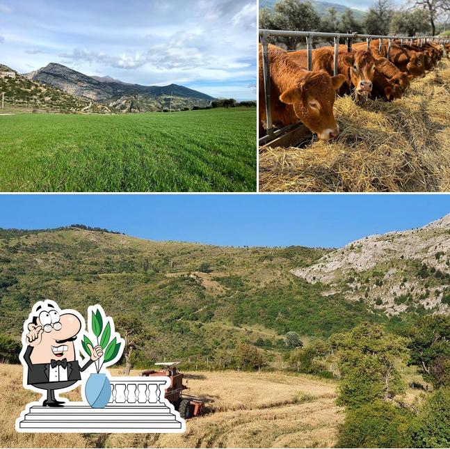 Guarda gli esterni di Mortati dal 1987: Braceria Ristorante - Macelleria Salumeria - Azienda Agricola