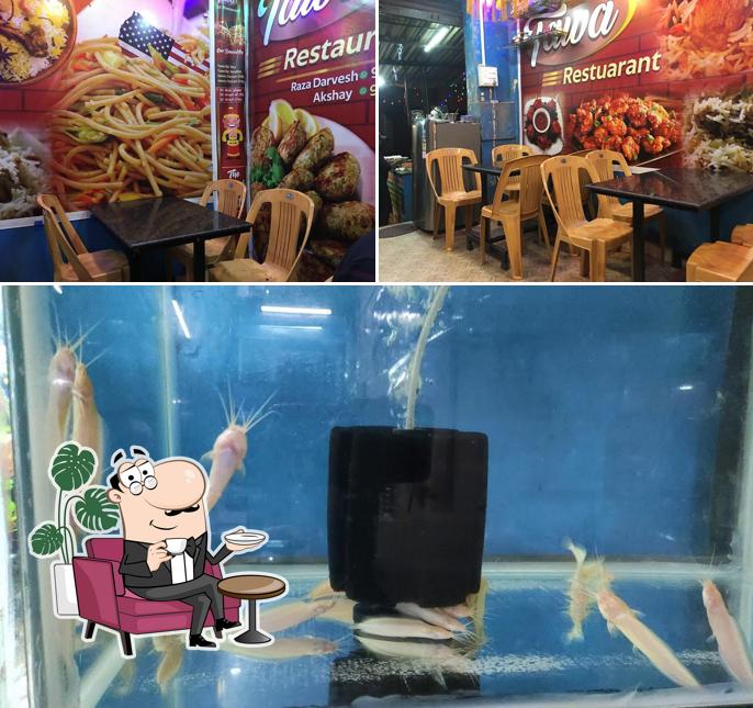 Aqua Themed restaurant. is distinguished by interior and food