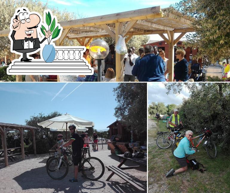 Gli esterni di Bicycle Cafe Alghero (Cafè Ciclista de l'Alguer)